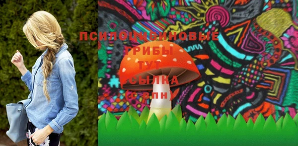 бошки Пролетарск