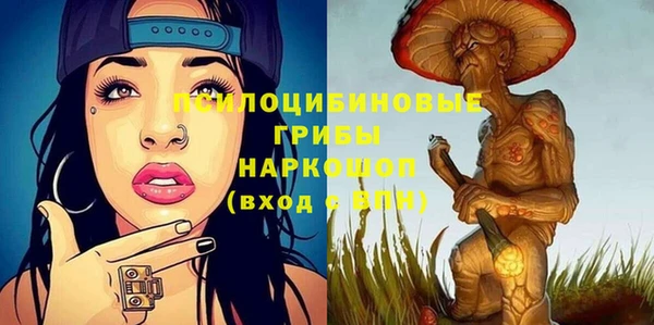 бошки Пролетарск