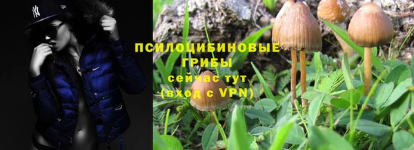 шишки Жердевка