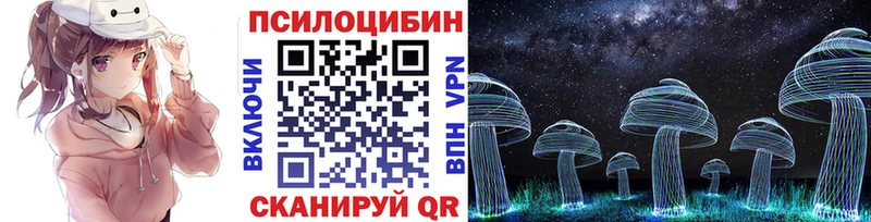 как найти наркотики  Тайшет  Галлюциногенные грибы Psilocybe 